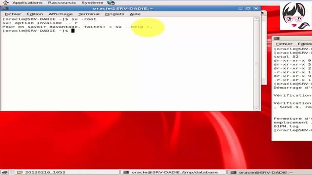installation d'Oracle Database 10g смотреть онлайн
