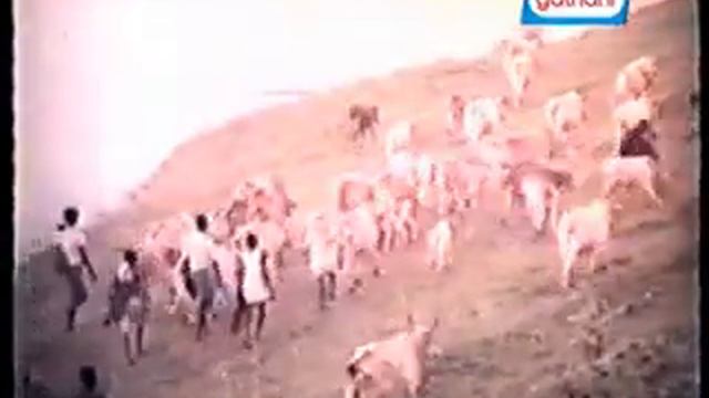 Tejore Kamalapoti // Raja (1982) // Best of Superstar Biju Phukan // Sung by Dwipen Barua смотреть онлайн