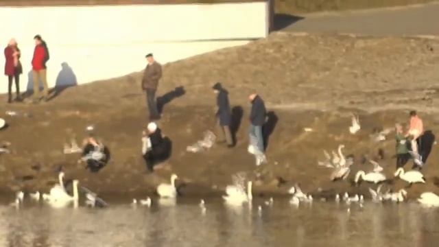 Беларусь Гимн Фотографа Витебск смотреть онлайн