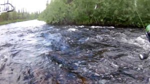 Кольский рыбалка