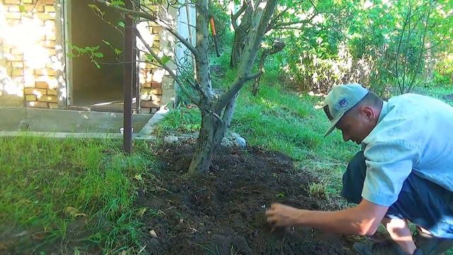 Моя дача 85 смотреть онлайн