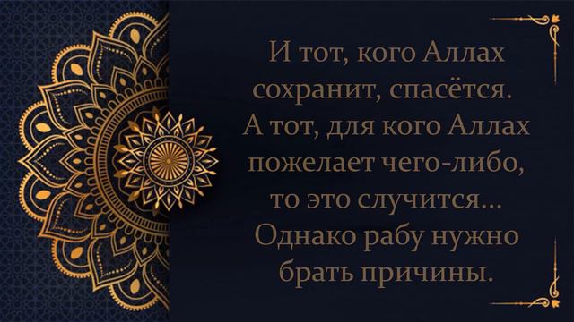 Правильное понимание упования на Аллаха | Шейх АбдульАзиз ибн Баз شيخ عبد العزيز ابن باز رحمه الله смотреть онлайн