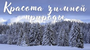 Красота зимней природы. Красивая музыка Эдгара Туниянца.