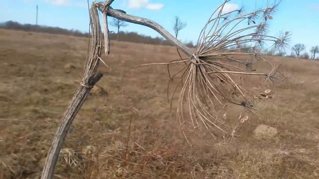 Шок !! Тайны Кремля !! В Калининграде найдена суперсекретная станция !! смотреть онлайн