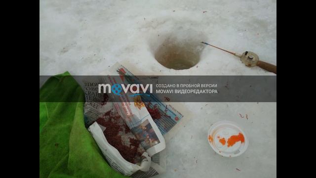 Ловля Форели!!! Приманки для ловли Форели!!! Рыбалка в Подмосковье!!! смотреть онлайн