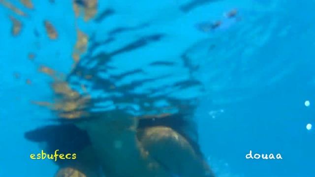 douaa - aquòpolis esbufecs 2017 ??♀️* смотреть онлайн