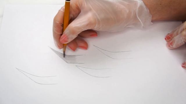 ? Обучение татуажу #11: Изгиб формы бровей смотреть онлайн