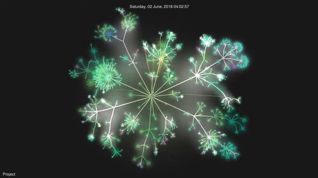 Gource visualization of a Common Lisp application's git repository (updated 9/7/2021) смотреть онлайн