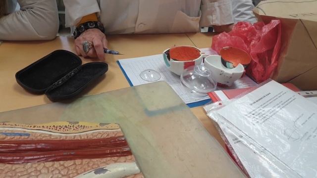 Орган зрения и его вспомогательный аппарат смотреть онлайн