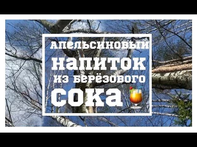 #рецепт напитка из березового сока, который можно хранить месяцами