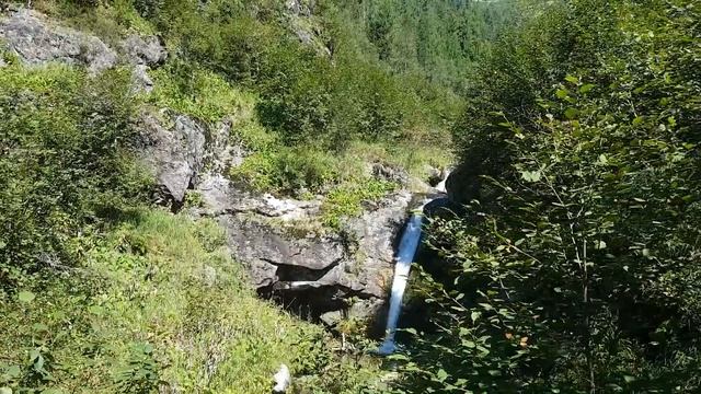Поход на водопад Чарующий | Море ягоды, дикая тайга , медведи ? смотреть онлайн