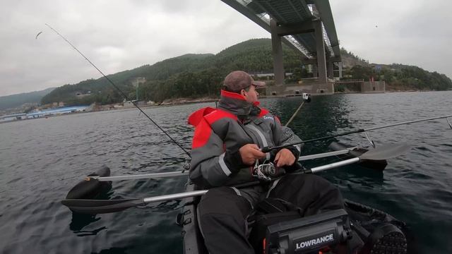 Pesca aos Chocos com Savage Gear 3D Hybrid Shrimp EGI Squid Jig смотреть онлайн