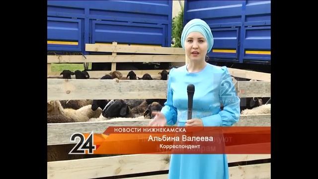 Нижнекамцы празднуют Курбан-байрам смотреть онлайн