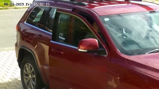 Hikvision OEM DS-2DE4A425IW-DE Video Demo смотреть онлайн