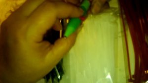 Как пометить птицу