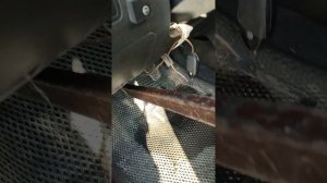 прокачка сцепления в одиночку