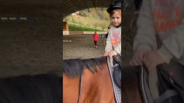 Лошадки самые добрые ? #лошади #детский #пони смотреть онлайн