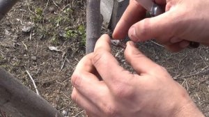 САМАЯ ПРОСТАЯ ПРИВИВКА  ПОЧКОЙ / КАК ПРИВИТЬ ЛЮБОЕ ДЕРЕВО В САДУ