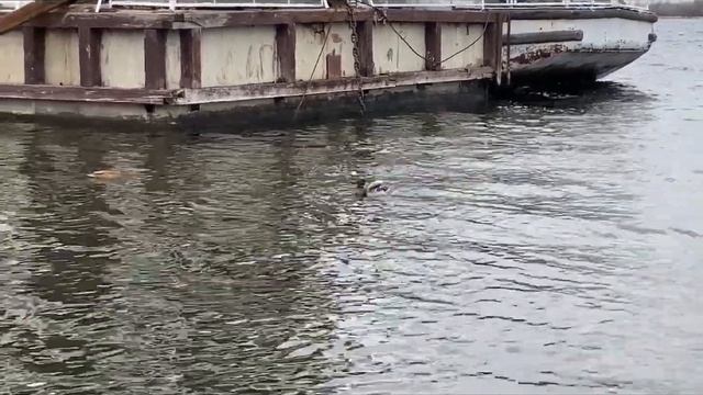 Тёплый ноябрь. Отдых на природе.