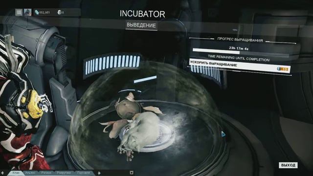 Warframe после обновления смотреть онлайн