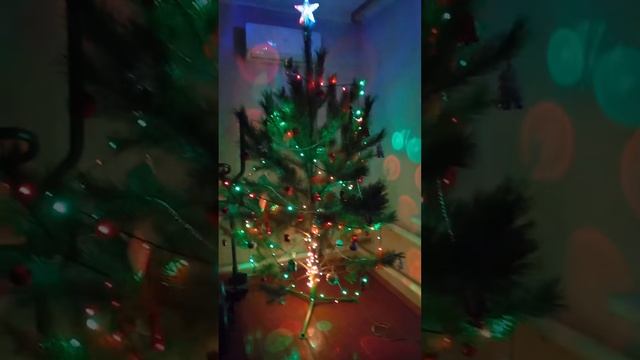 новогодняя соснановогодняя сосна смотреть онлайн