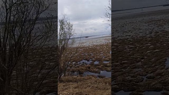 Полный беспредел,по открытию охоты в Нефтеюганском р-не ХМАО! смотреть онлайн