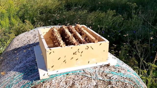 Вам что тут, мёдом намазано? смотреть онлайн