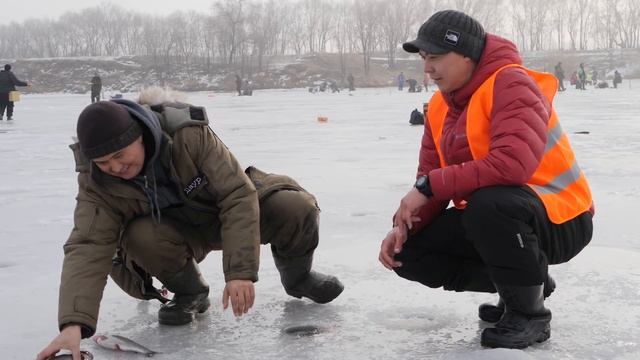 Almaty Fish Open смотреть онлайн