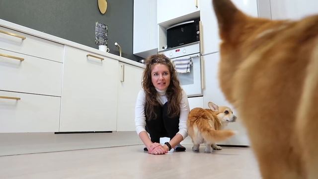 МЫ все дома! Что за безобразие? Не реагируют на кота! VLOG смотреть онлайн