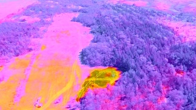 ТУШИМ ЛЕСНОЙ ПОЖАР в Ростовской области / Профессия волонтёр смотреть онлайн