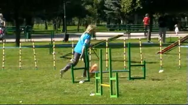 Ольга Майер и Гера. Трасса - аджилити.