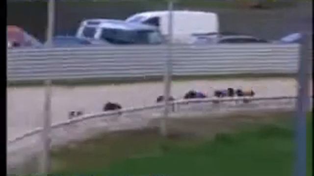 IGB - The Hale Vaping A4/A5 Guys & Dolls Stake Round 2 Heat 1 15/04/2018 Race 1 - Clonmel смотреть онлайн