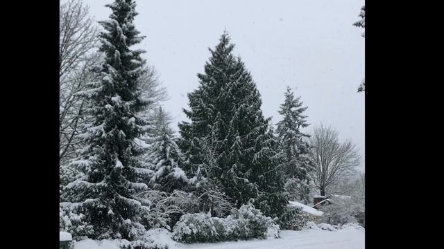 Valentine’s Day song-piano and soprano recorder with snowy scenes смотреть онлайн