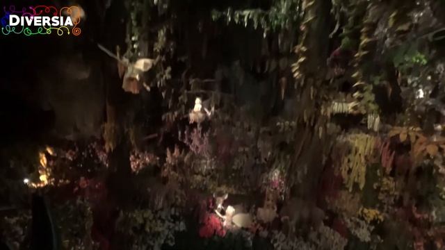 EFTELING - DROOMVLUCHT ON-RIDE HD POV - DREAM FLIGHT DARK RIDE - AMAZING FANTASY ATTRACTION