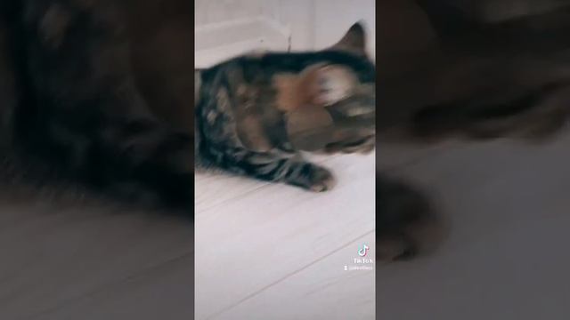 Анфисины увиличенные глаза смотреть онлайн