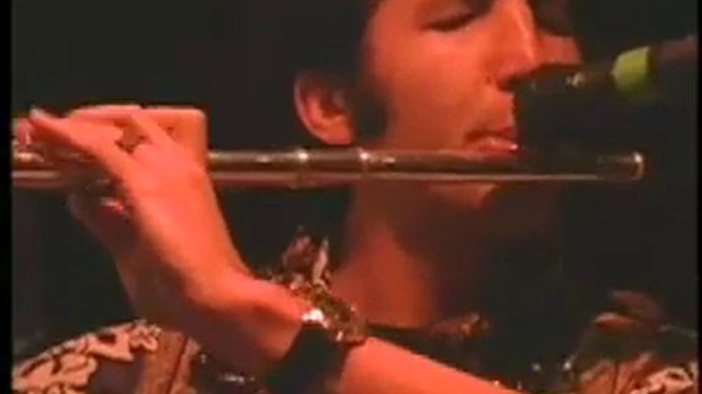 WAITIKI performs Voodoo Love - LIVE at the Lizard Lounge смотреть онлайн