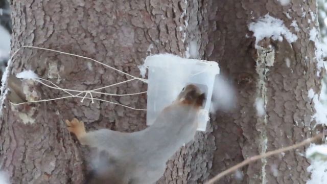 №2893 20 12 2022 Завтрак белок смотреть онлайн