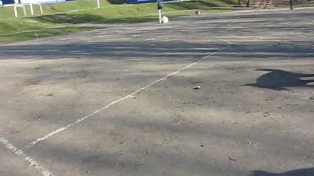Кане Корсо Аякс и подруга Лора смотреть онлайн