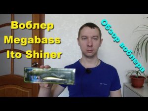 Воблер Megabass Ito Shiner 115SP. Обзор воблера для ловли щуки