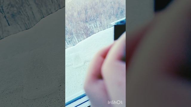 InShot_20240202_160025997.mp4