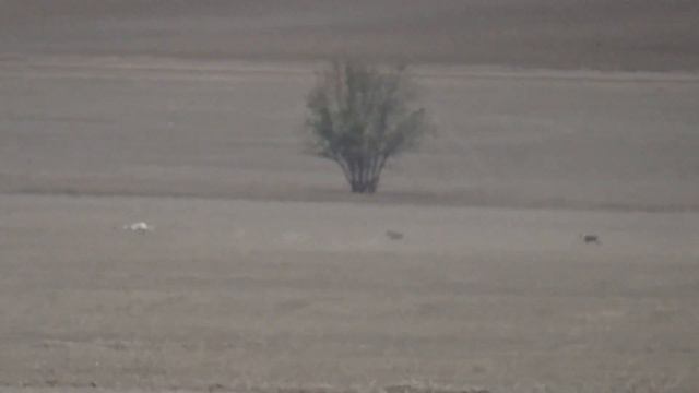 Испытание Арзгир смотреть онлайн