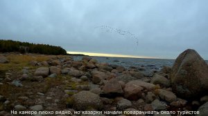 Охота на гуся (гуся добыл, но помешали туристы) 08.10.2018