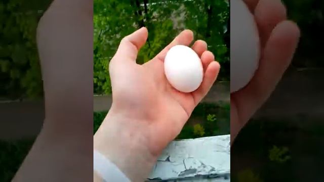 Кидаю яйца на прохожих смотреть онлайн