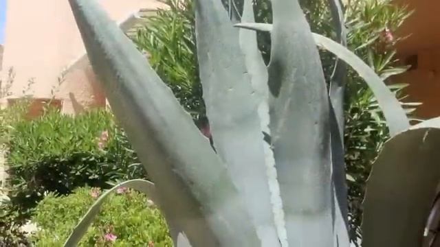 VILLAGE NATURISTE A PORT LEUCATE ... LANGUEDOC ROUSSILLON ... смотреть онлайн