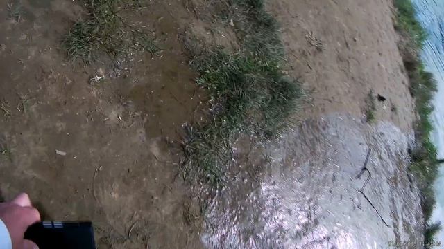 ловля форели на платнике