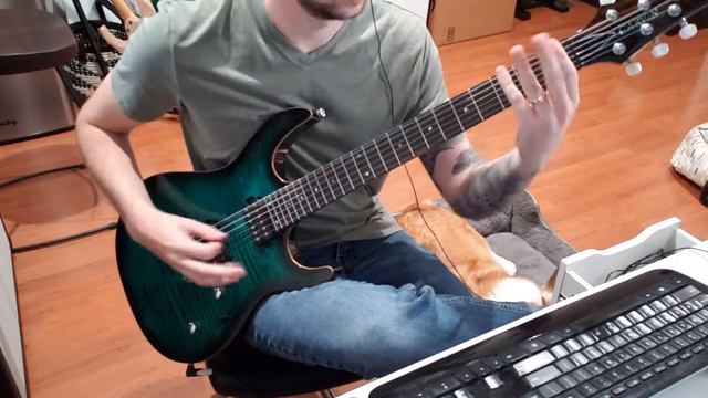 SEVIIN WOES - New bass showcase (Ibanez SR890TT) смотреть онлайн