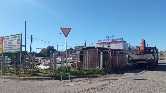 Как растёт Хурма и Корольки. Деревья Сочи смотреть онлайн