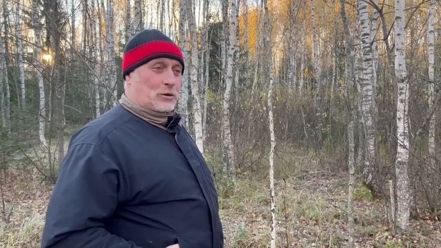 МОРОЗНЫЕ БОРОВИКИ В БЕРЕЗНЯКЕ ! За грибами в осенний октябрьский лес ! Грибы 2022 ! смотреть онлайн