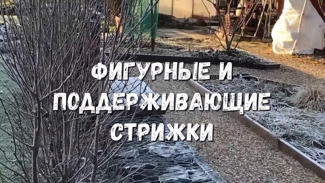 Штраф 15 000 евро за работы в саду в Германии смотреть онлайн