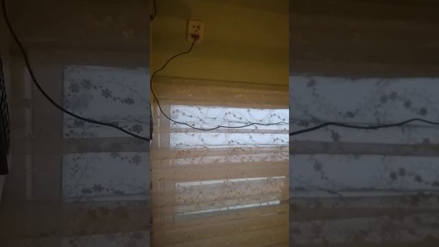 Зомби горит в ла смотреть онлайн